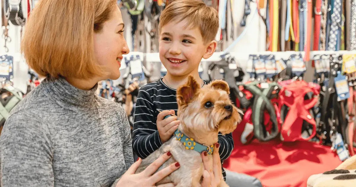 10 Pet Retail Management Tips To Boost Sales